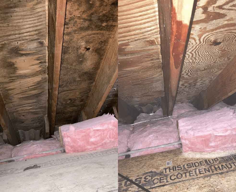 Attic moisture damage
