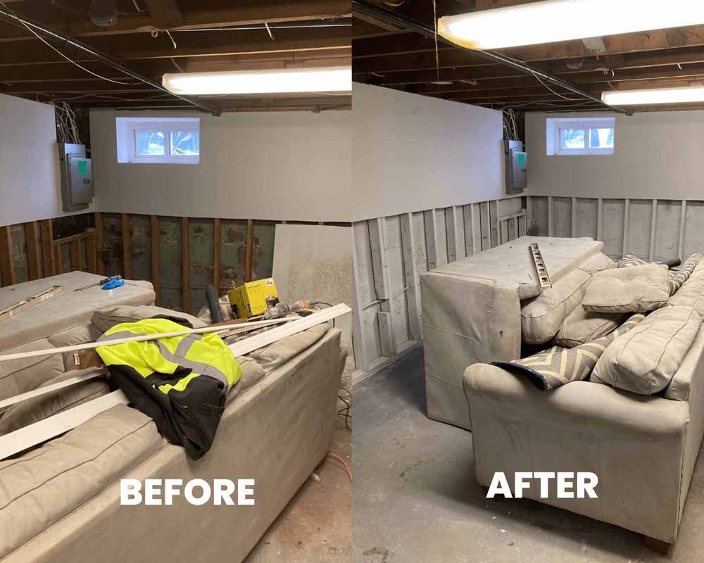 Basement mold project