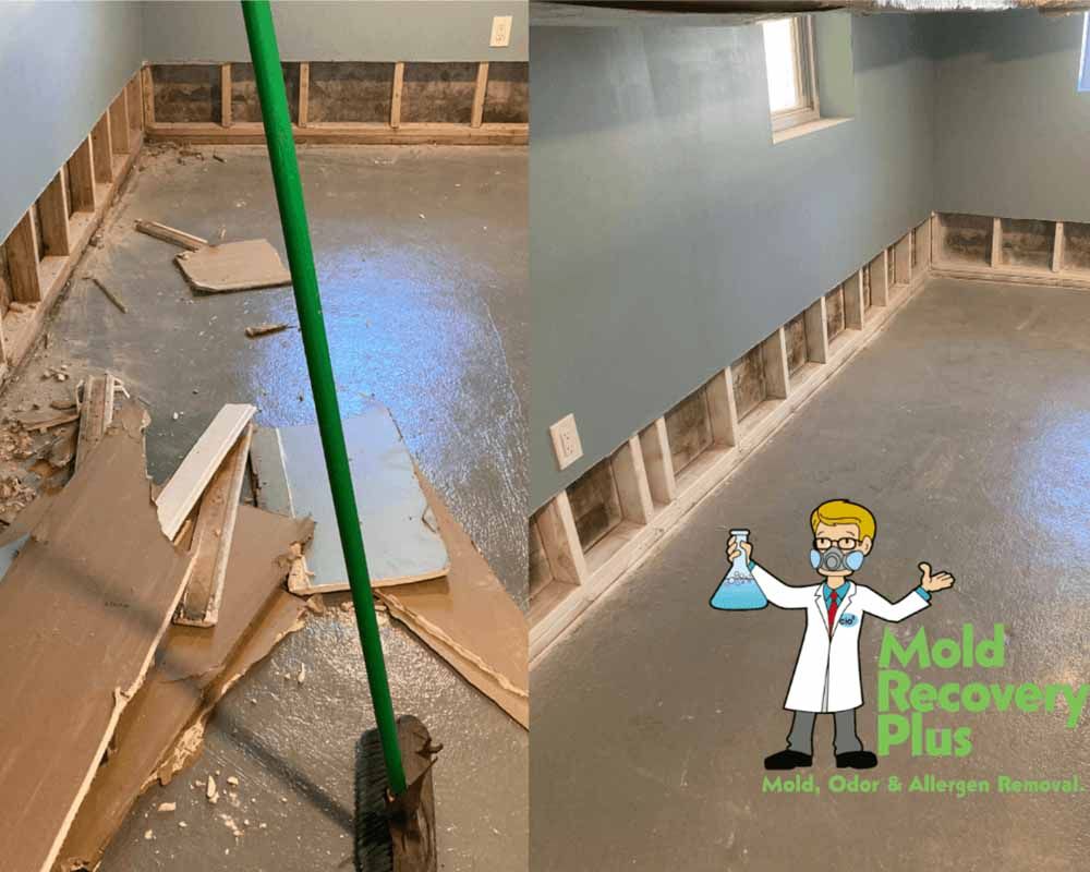Basement mold wall removal