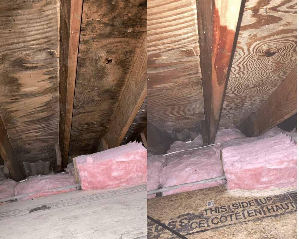 Crawl space mold removal and sealing
