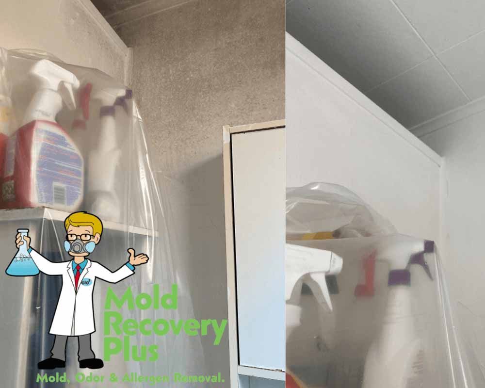 Laundry room mold removal