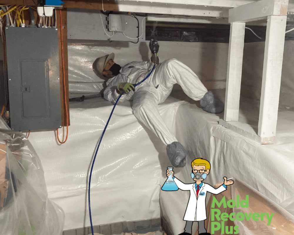 Protective antimicrobial coating